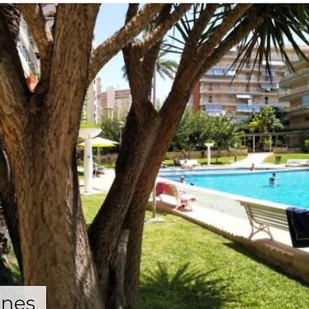 Apartamento Entero En La Playa San Juan Benacantil Alicante Eksteriør bilde