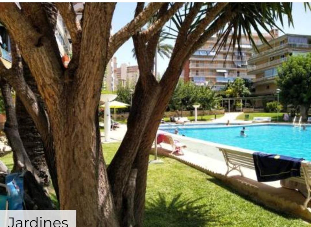 Apartamento Entero En La Playa San Juan Benacantil Alicante Eksteriør bilde